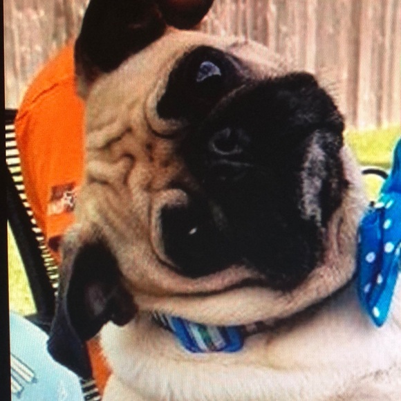 Meet your Posher, Erika - Picture 1 of 1